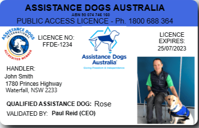 Assistance Dogs 01 Assistance Dogs 01